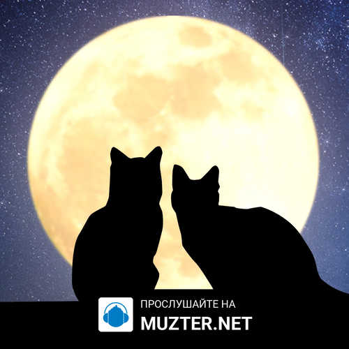 Музика Cvetocek7 - И Через Года (White Kola Remix)