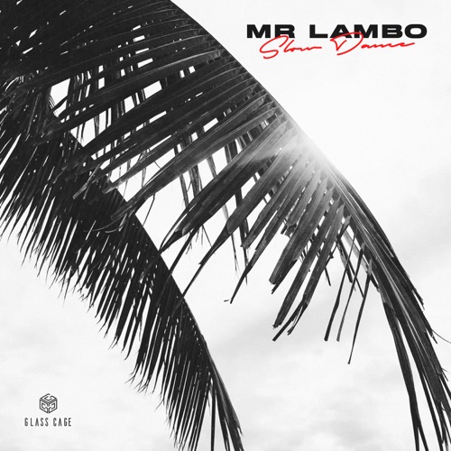 Музика Mr Lambo - Slow Dance