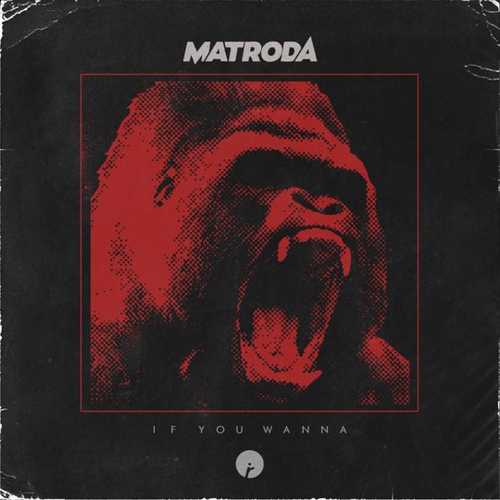 Музика Matroda - If You Wanna (Original Mix)
