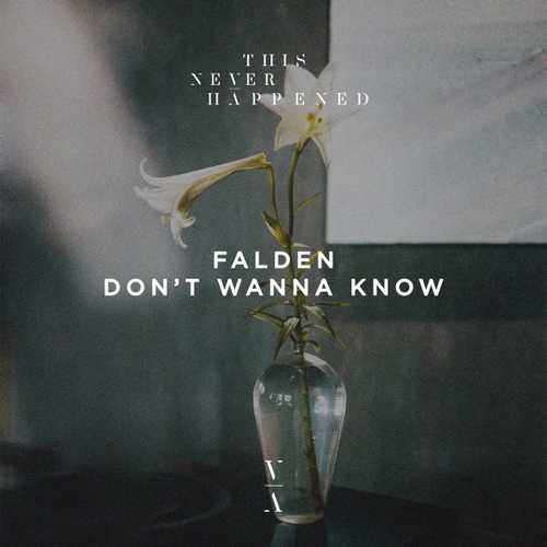 Музика Falden - Don't Wanna Know (Original Mix)