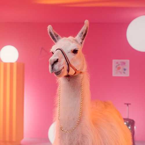 Музика RASA - По Приколу