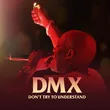 DMX от Party Up (Up In Here)