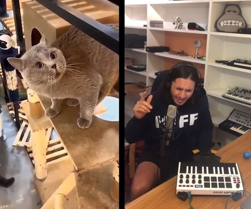 Музика Alugalug Cat & The Kiffness - Soulful Singing (Cat Live Looping Remix)