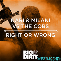 Nari & Milani vs The Cobs от Right Or Wrong (Original Mix)