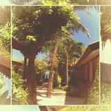 Jay-Lounge от Coastline