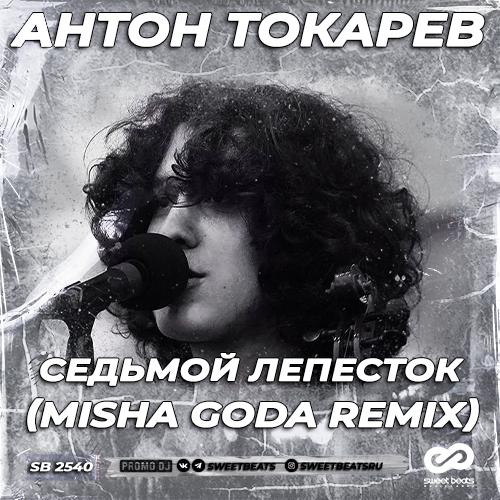 Музика Антон Токарев - Седьмой Лепесток (Misha Goda Remix)