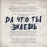 Shami от Да Что Ты Знаешь