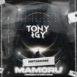 Tony Igy от Astronomia (Mamoru Remix)