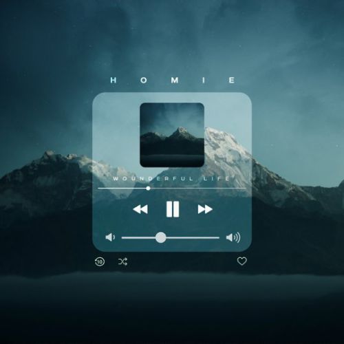 Музика Homie - Wonderful Life
