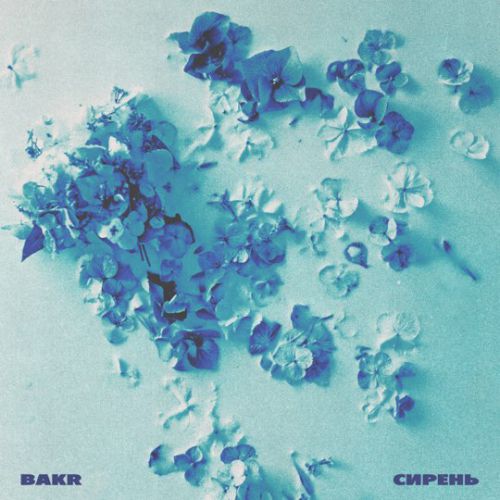 Музика Bakr - Сирень
