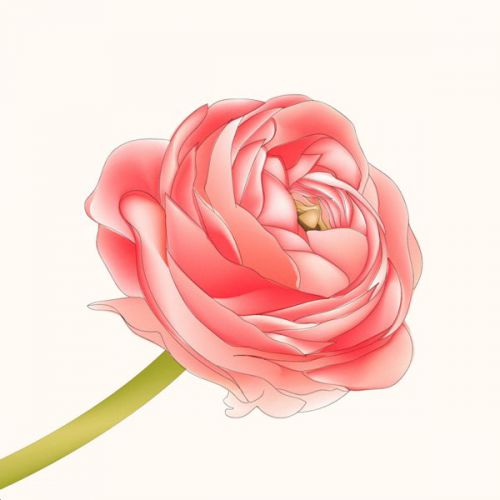 Музика Vladimir Dantes - Тільки Ми