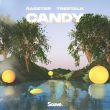 Rasster от Candy (feat. Treetalk)