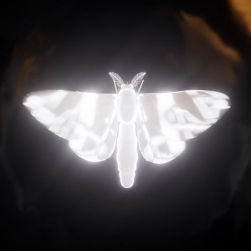 Музика Carapacee - Мотыльки (feat. Shena?)