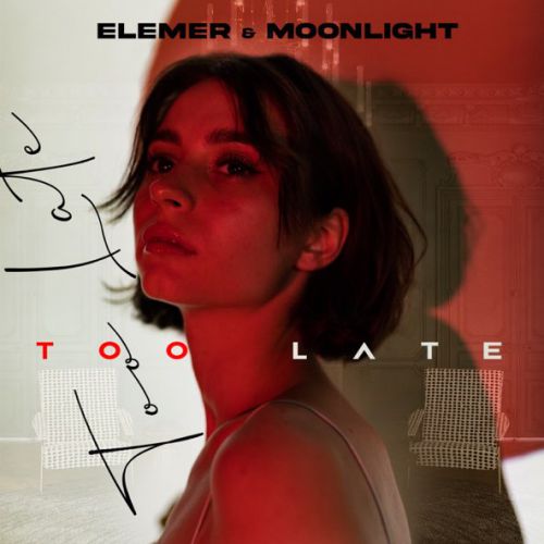 Музика Elemer - Too Late (feat. MoonLight)
