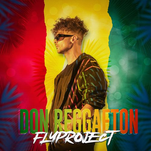 Музика Fly Project - Don Reggaeton