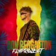 Fly Project от Don Reggaeton