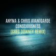 Anyma & Chris Avantgarde от Consciousness (Greg Downey Remix)