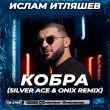 Ислам Итляшев от Кобра (Silver Ace & Onix Remix)