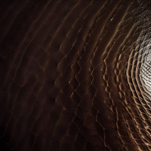 Музика Tayöka & Скриптонит - Ковры (Izzamuzzic Remix)