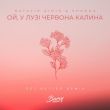 Natalie Gioia & Shkoda от Ой, У Лузі Червона Калина (Get Better Remix)