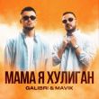 Galibri от Мама, Я Хулиган (feat. Mavik)
