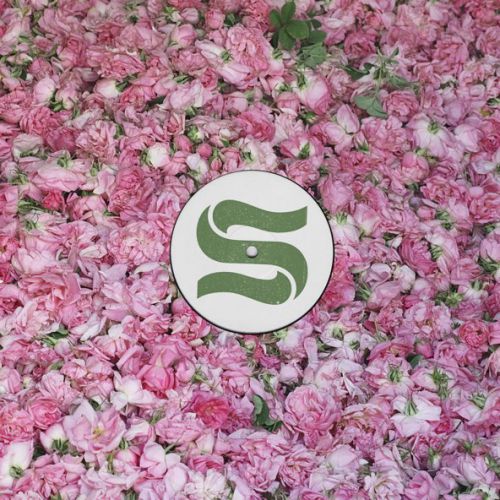 Музика Braxe + Falcon & Sunni Colón - Elevation (Paul Woolford Remix)