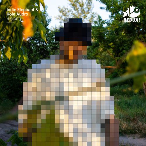 Музика Indie Elephant & Kole Audro - Biglong (Original Mix)