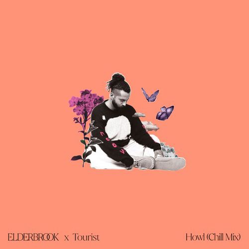 Музика Elderbrook & Tourist - Howl (Chill Mix)