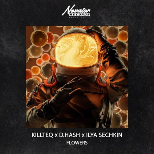 Музика Killteq - Flowers (feat. D.Hash & Ilya Sechkin)