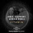 Erika Krall & Indie Elephant от Vitamin (Extended Mix)