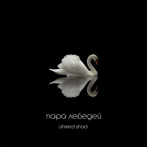 Музика Ahmed Shad - Пара Лебедей
