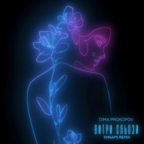 Музика Dima Prokopov - Витри Сльози (Shnaps Remix)