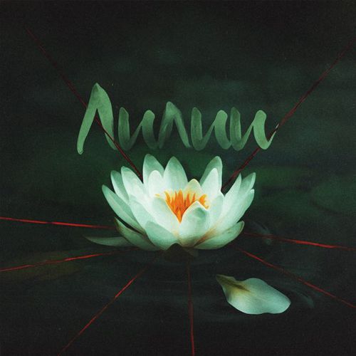 Музика Антон Токарев - Лилии