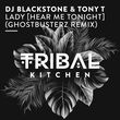 DJ Blackstone & Tony T от Lady (Hear Me Tonight) (Ghostbusterz Remix)