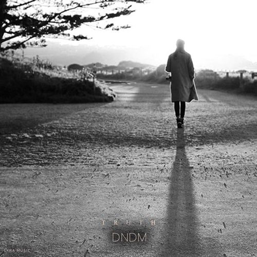 Музика Dndm - Truth