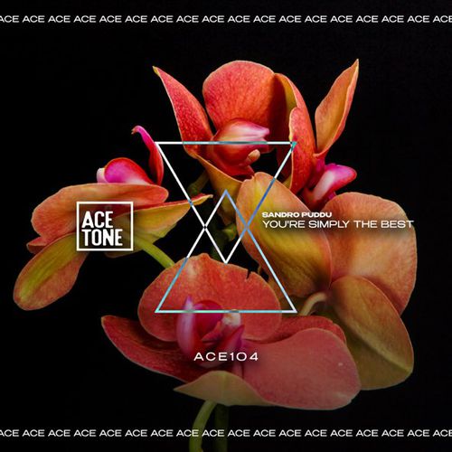 Музика Sandro Puddu - You're Simply The Best (Original Mix)