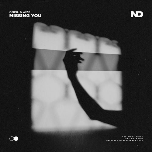 Музика Oneil - Missing You (feat. Aize)