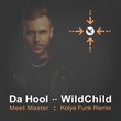 Da Hool & WildChild от Meet Master (Kolya Funk Remix)