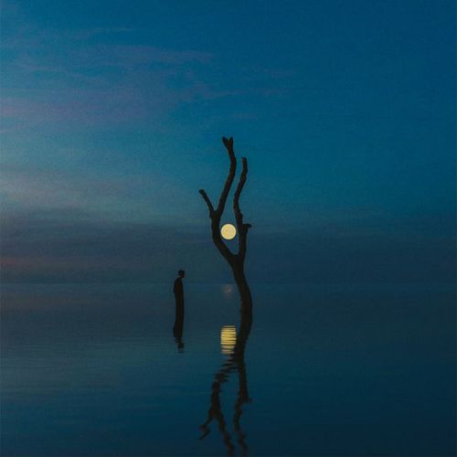 Музика Fejká & Henry Green - Shades Of You (Tim Engelhardt Remix)