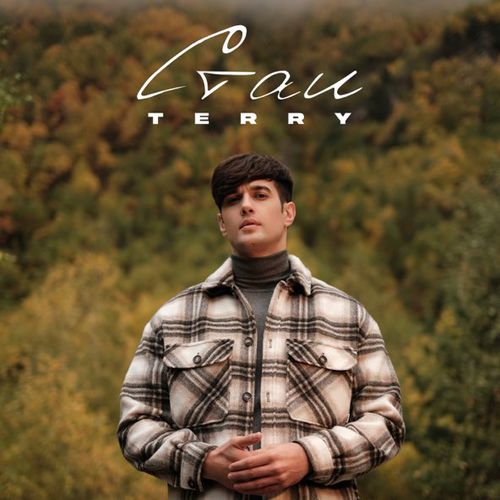 Музика Terry - Стаи