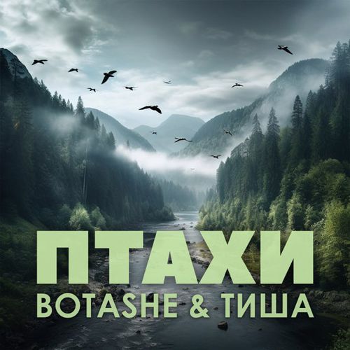 Музика Botashe - Птахи (feat. Тиша)