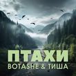 Botashe от Птахи (feat. Тиша)