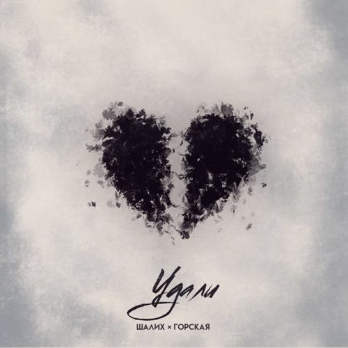 Музика Шалих - Удали (feat. Горская)