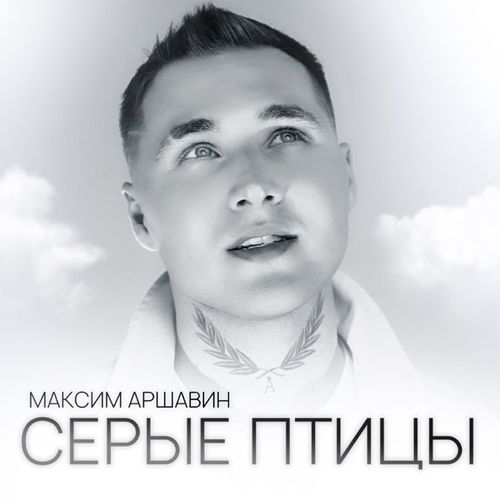 Музика Максим Аршавин - Серые Птицы