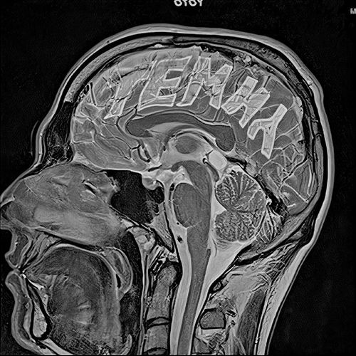 Музика Otoy - Етнокод