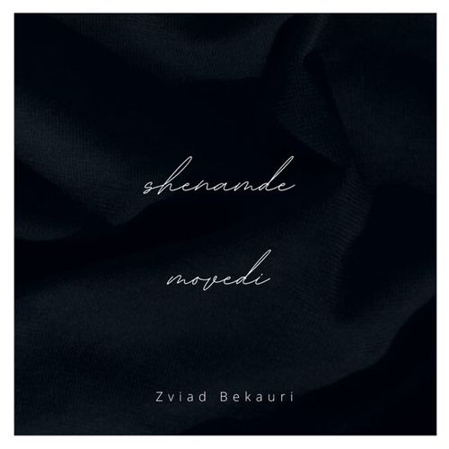 Музика Zviad Bekauri - Shenamde Movedi (Zviad Bekauri Remix)