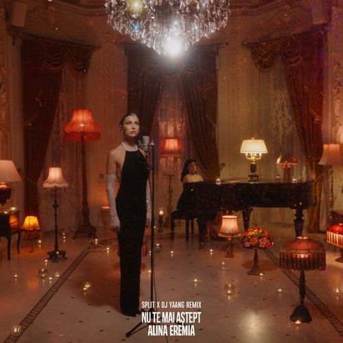 Музика Alina Eremia - Nu Te Mai Astept (Split X DJ Yaang Remix)