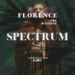 Florence & The Machine от Spectrum (Say My Name) (Marco Generani Remix)