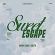 Danny Chris от Sweet Escape (feat. Sbstn)
