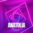 Edward Maya от Anatolia (Radio Edit)